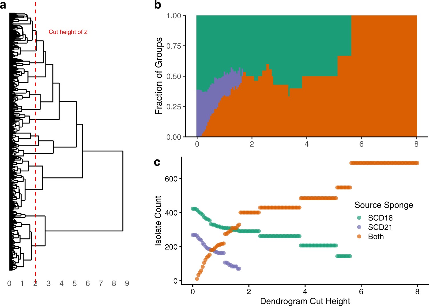 Genomic Pathway Visualization