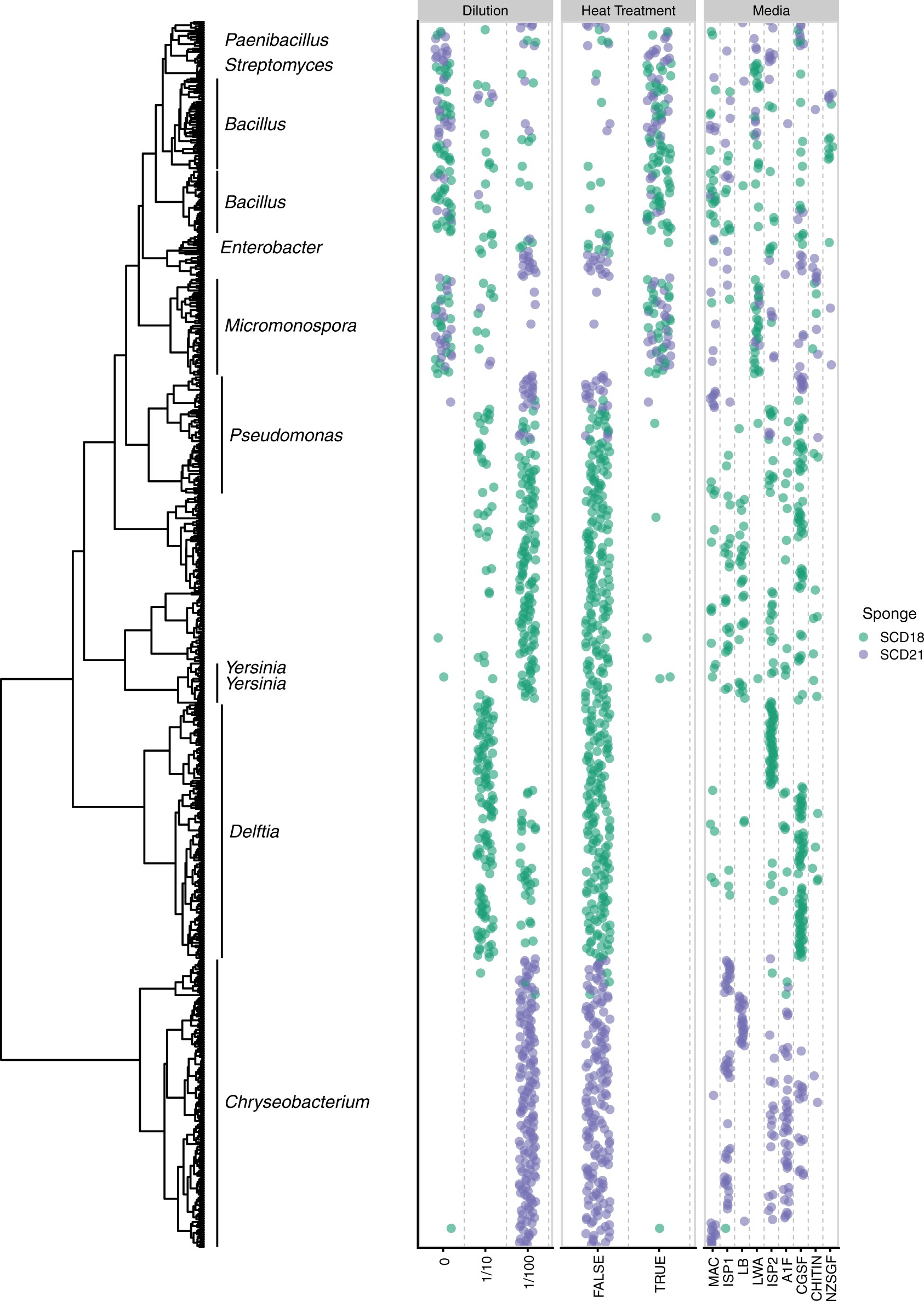 Genomic Pathway Visualization