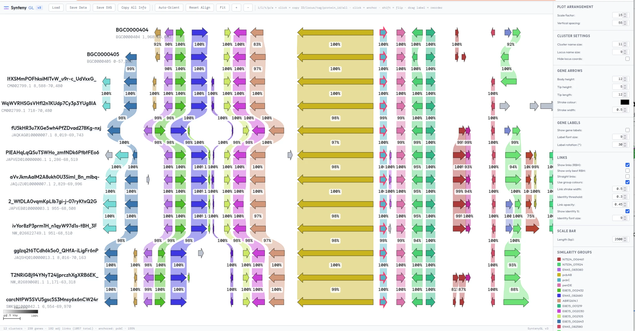 Interactive synteny visualization comparing gene architecture across related biosynthetic gene clusters